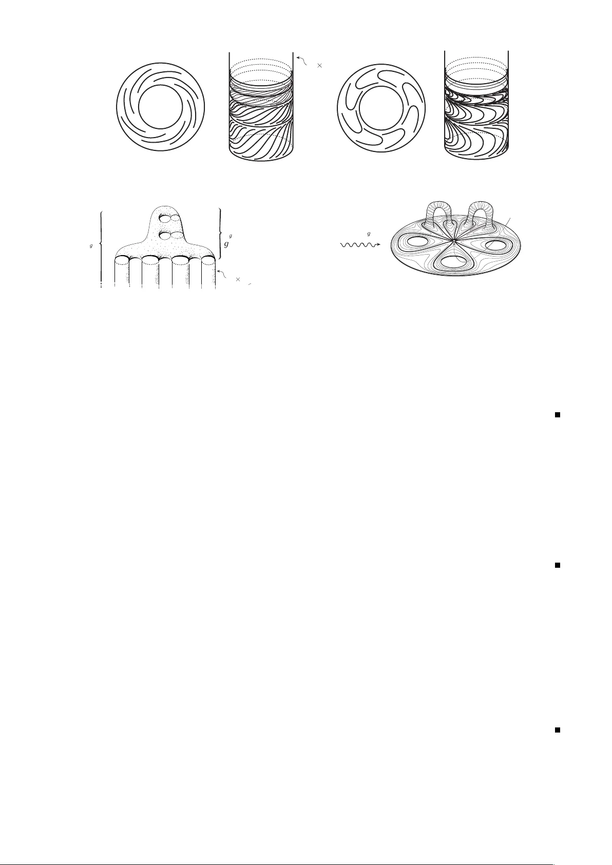 비가시적 검은 구멍에 빨려 들어가는 차원‑일 foliation의 비정형성