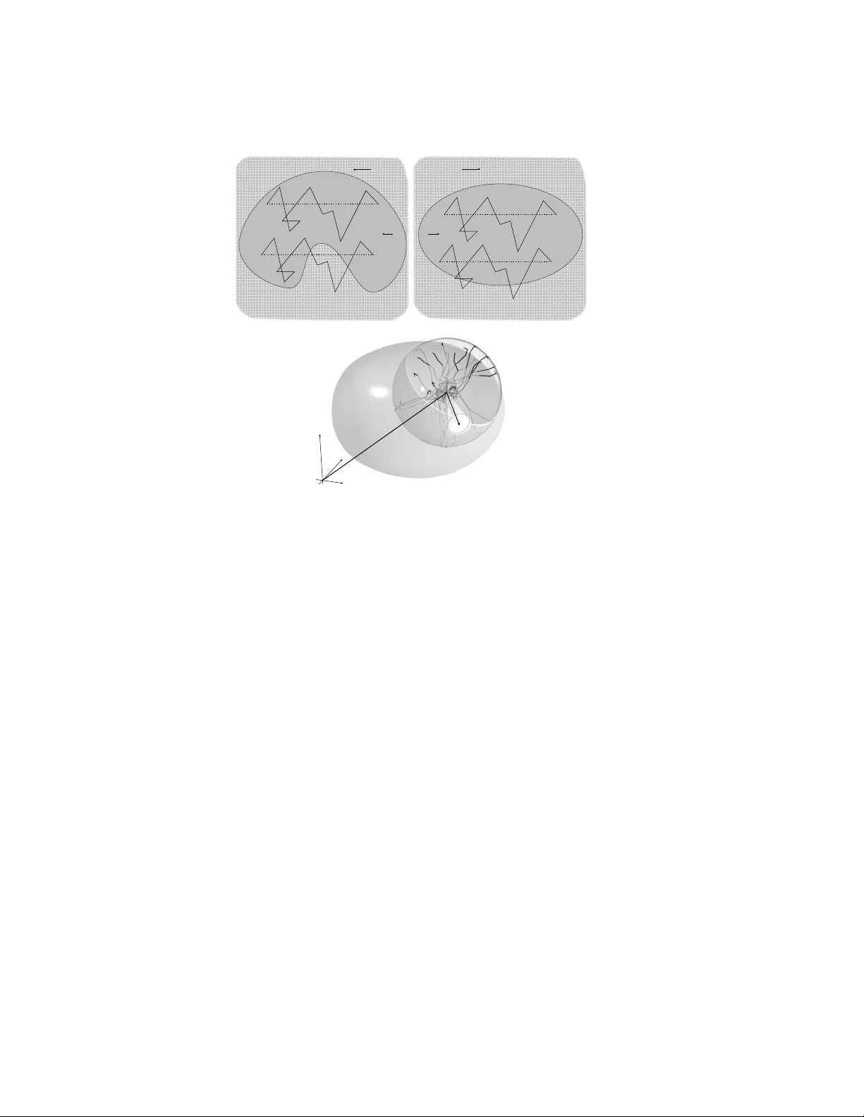 부호 길이 분포와 비볼록체의 기하학적 해석
