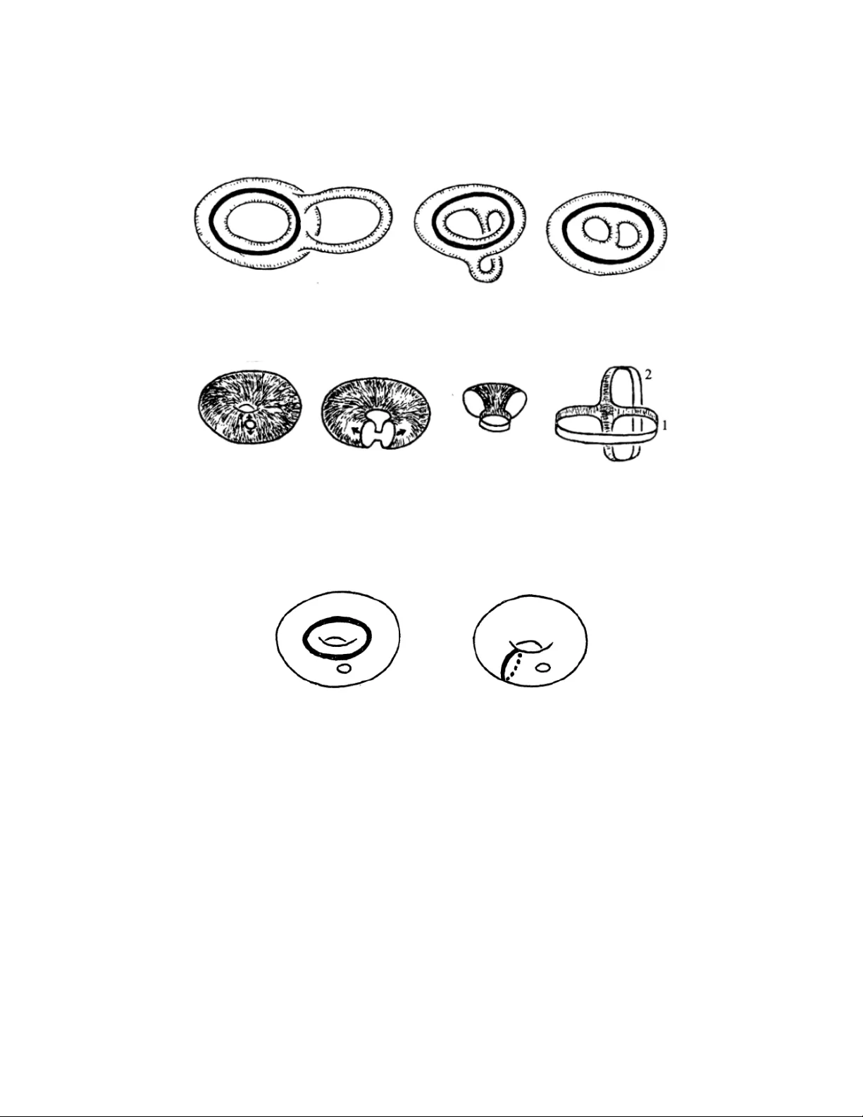 Funny Problems in Intuitive Topology