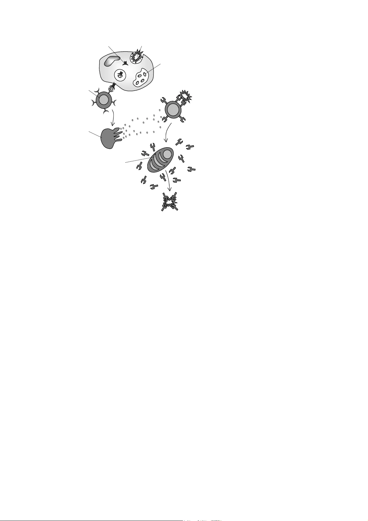 Artificial Immune Systems Tutorial