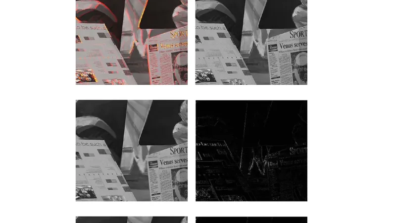 Image sequence interpolation using optimal control