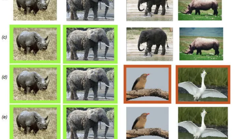 Pair-Wise Cluster Analysis