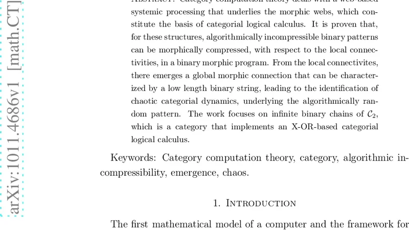 Chaos in Binary Category Computation