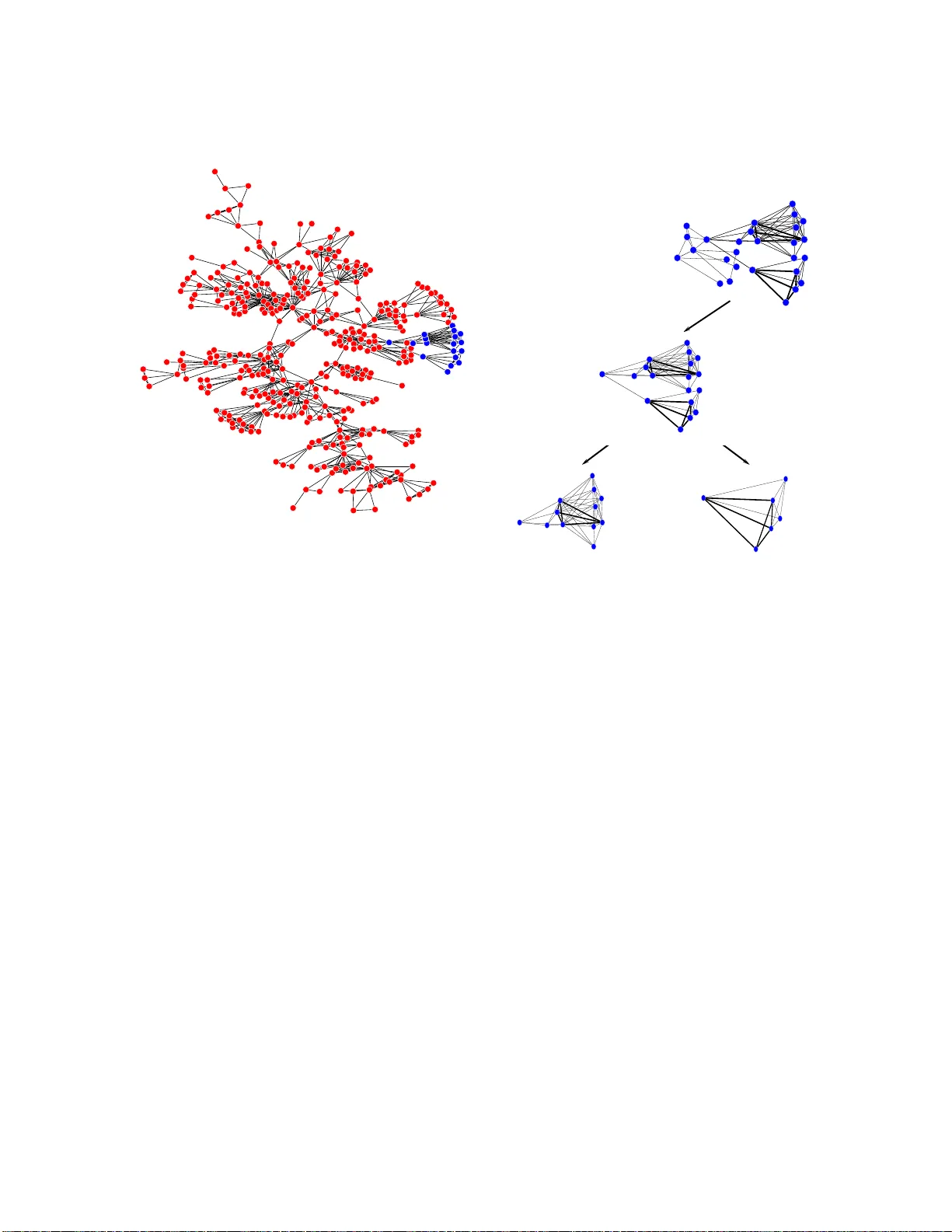 압축 네트워크 분석