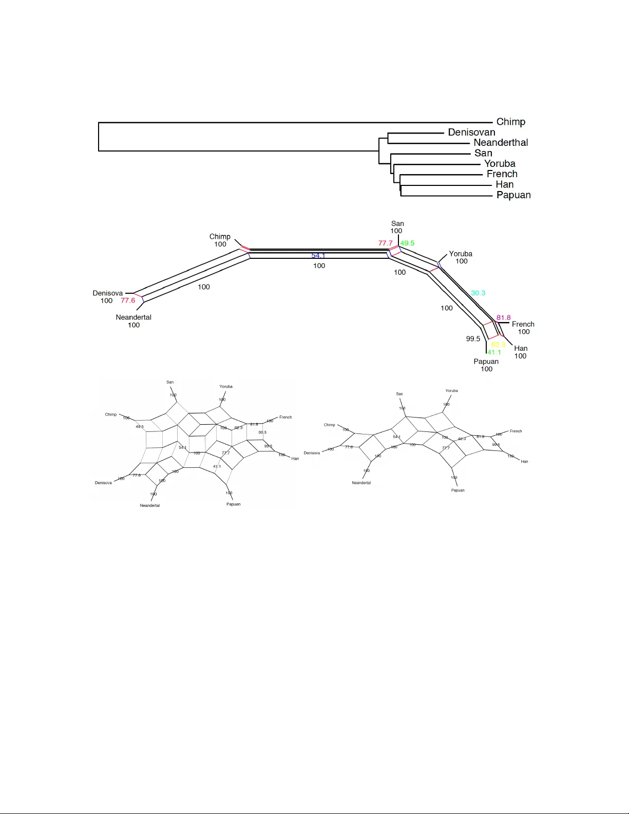 호모데니소바와 현대인 유전체 스펙트럼 분석 및 계층적 공통조상 모델 연구