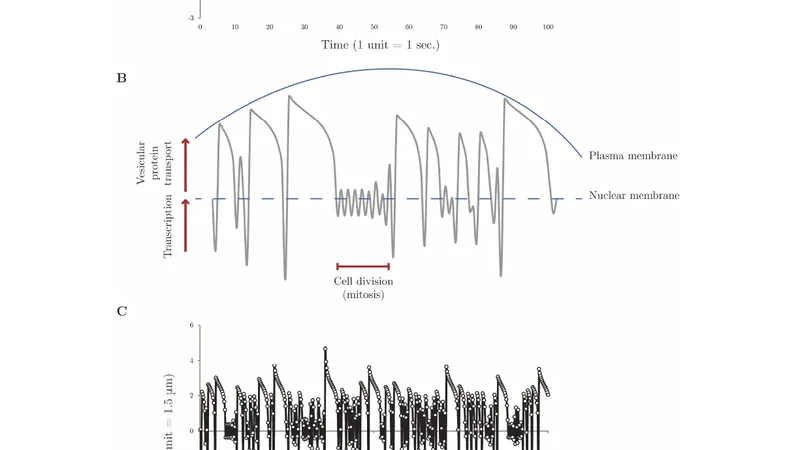Simple variation of the logistic map as a model to invoke questions on   cellular protein trafficking