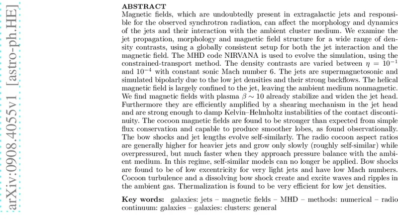 Very Light Magnetized Jets on Large Scales - I. Evolution and Magnetic   Fields