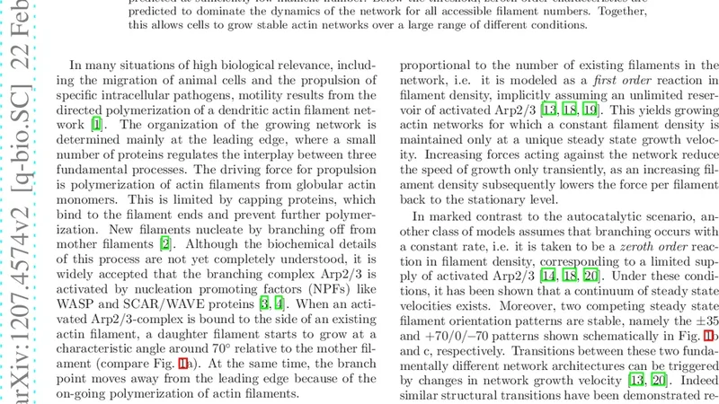 Unifying autocatalytic and zeroth order branching models for growing   actin networks