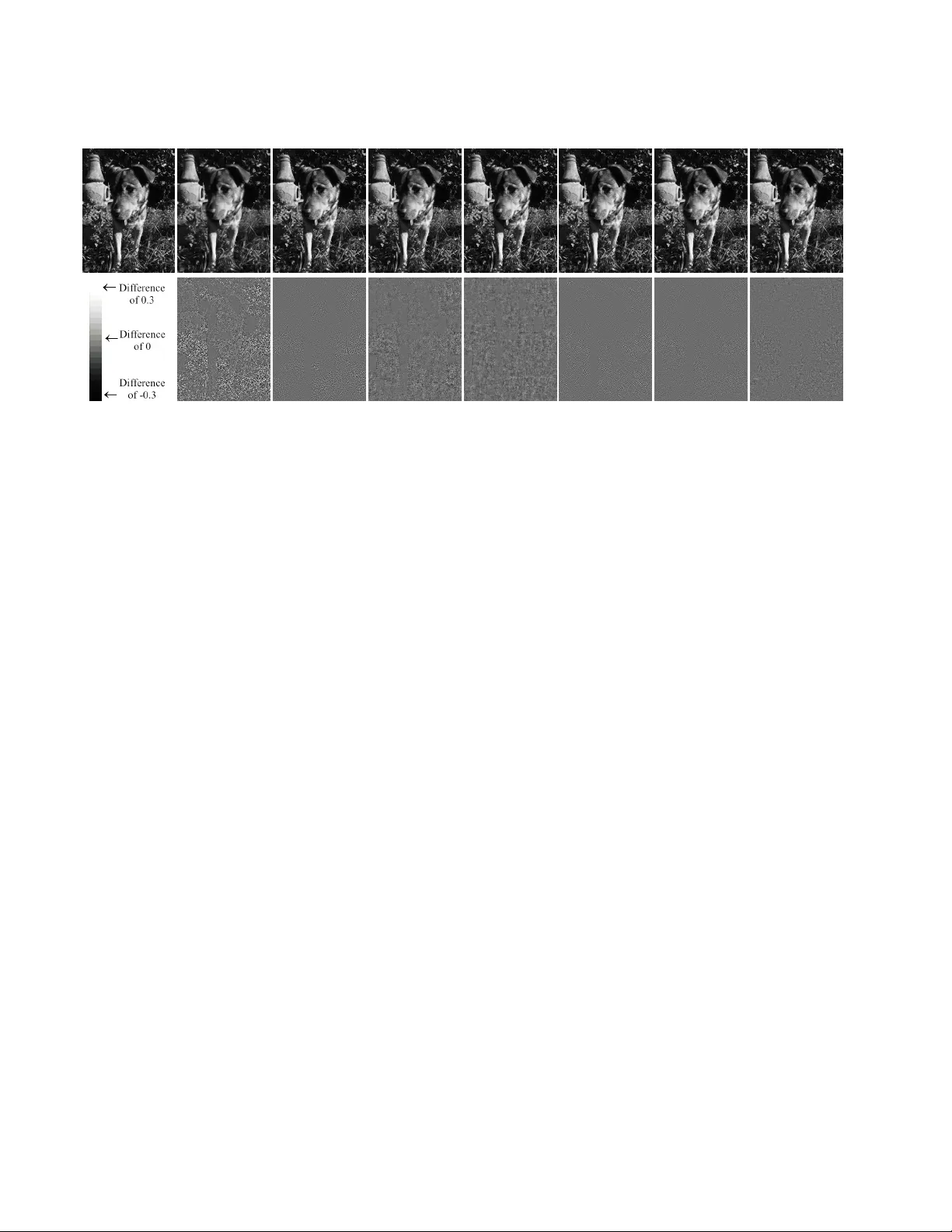 차이 맵을 이용한 강인한 압축 센싱 및 희소 코딩
