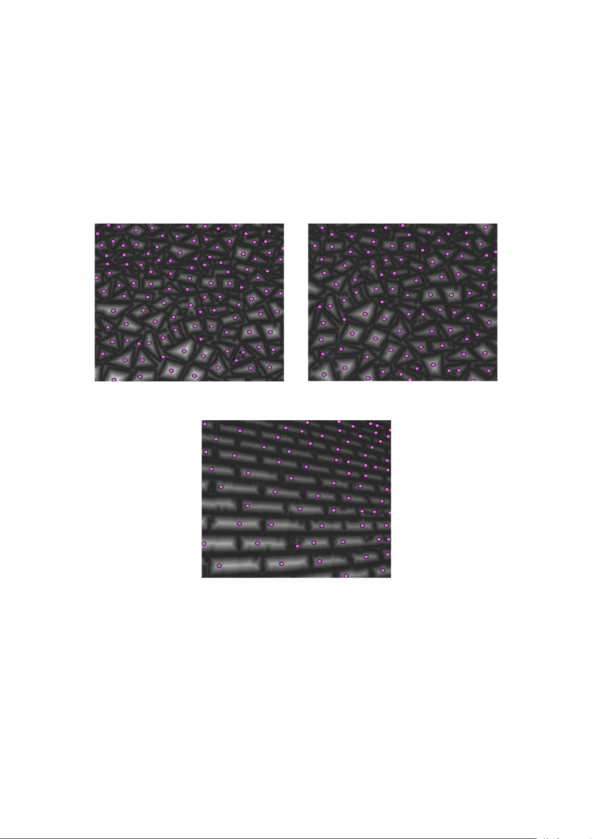 텍스처로부터 3D 형태 추정: 지역 스케일 점 과정 기반 프레임워크