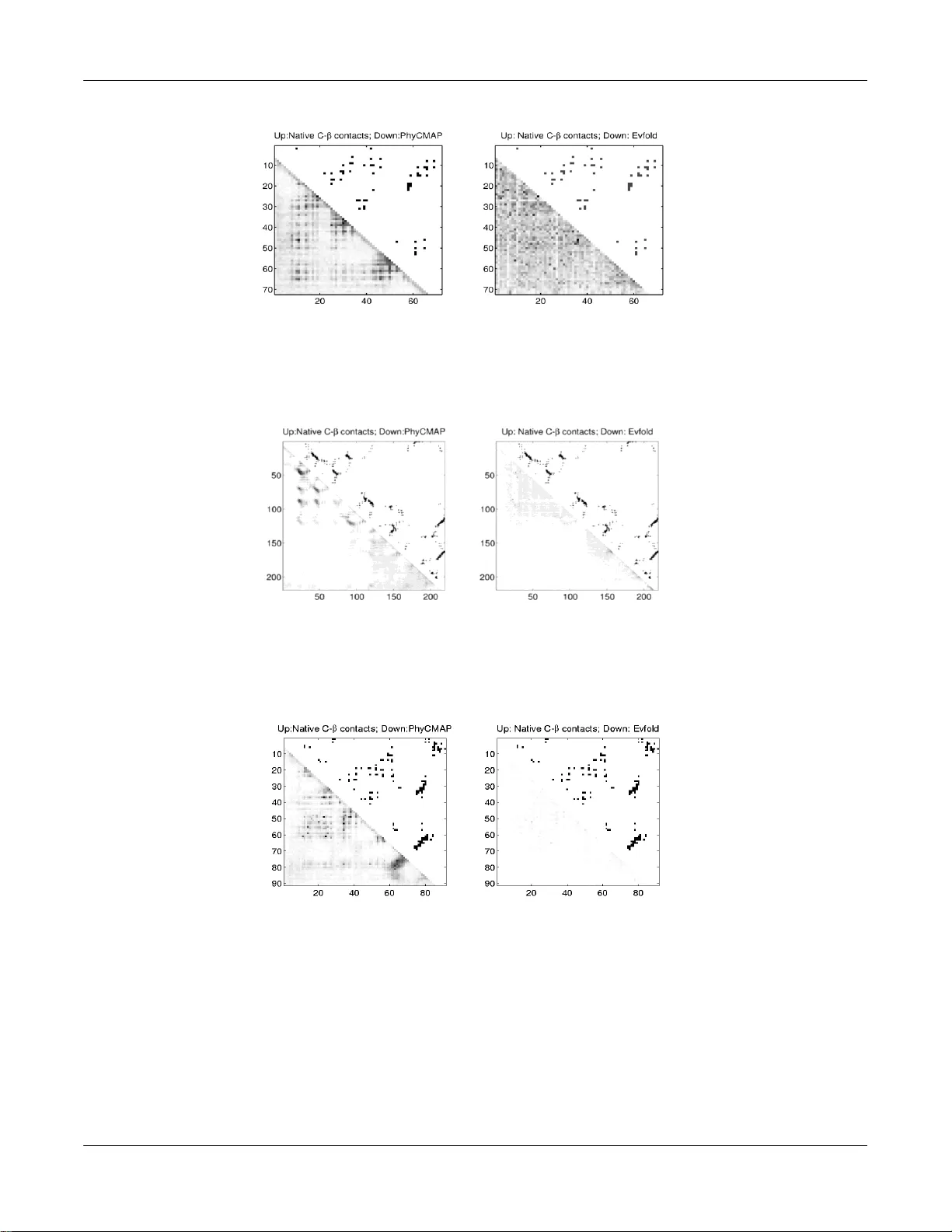 진화·물리 제약을 결합한 정수계획 기반 단백질 접촉 지도 예측