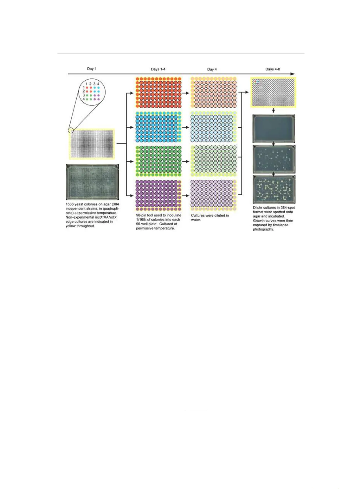 베이지안 계층 모델링을 통한 효모 유전 상호작용 추론