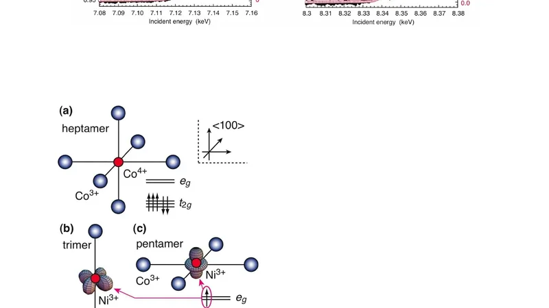 빛 불순물 도핑이 저스핀 페롭스카이트 라코오₃의 스핀 상태에 미치는 영향