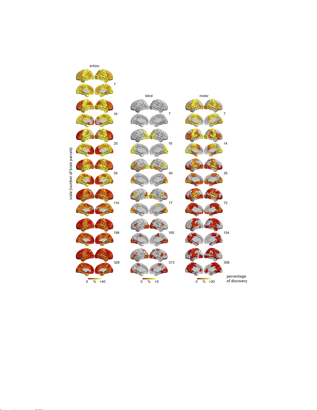 다중스케일 뇌 연결망 분석: FDR 제어와 발견력 비교