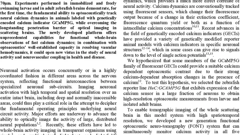 Functional optoacoustic neuro-tomography (FONT) for whole-brain   monitoring of calcium indicators