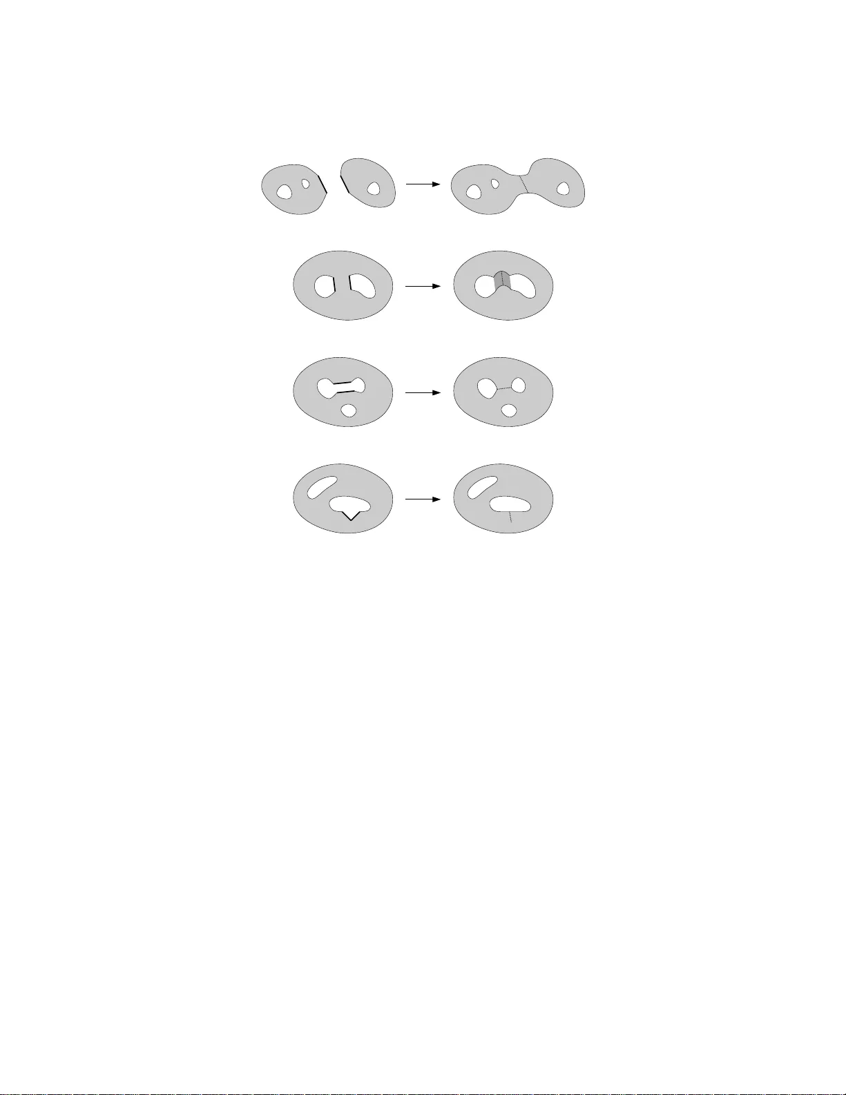 정점 링크의 종 검출로 3‑다양체 삼각분할 열거 속도 혁신
