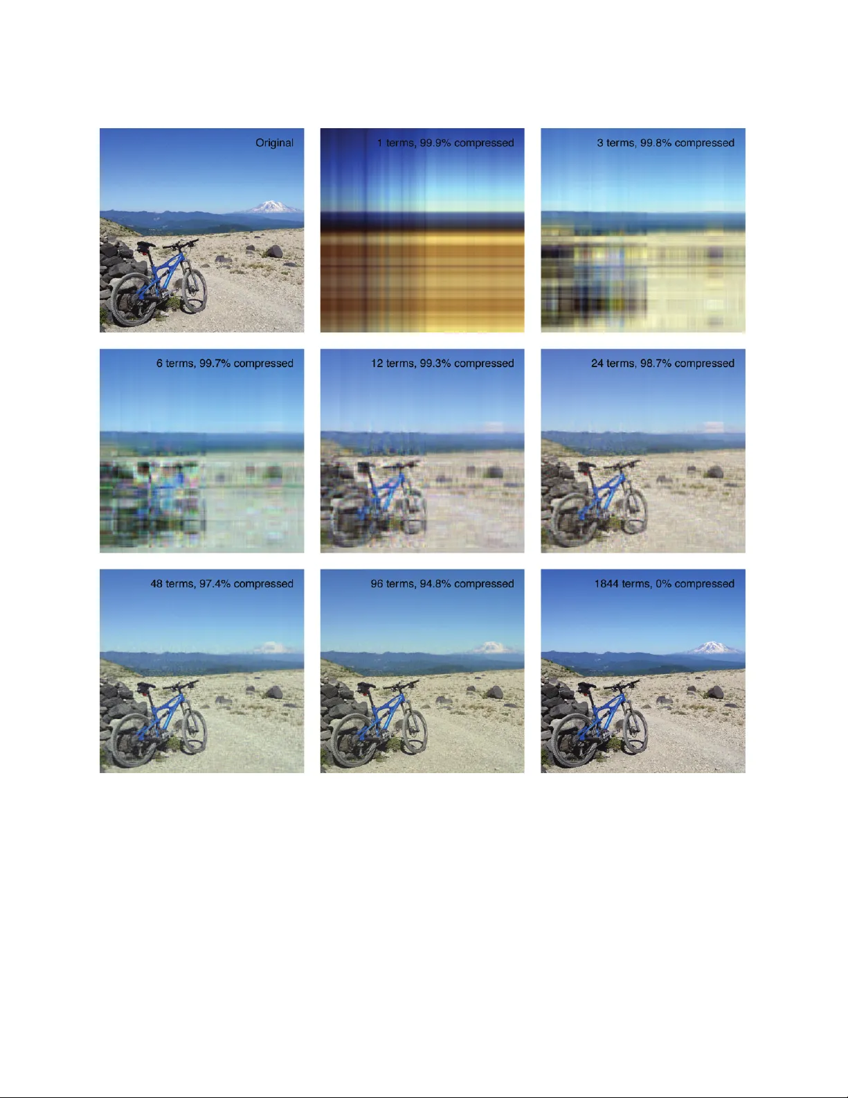 연령별 인구통계량을 위한 SVD 기반 초소형 구성요소 모델