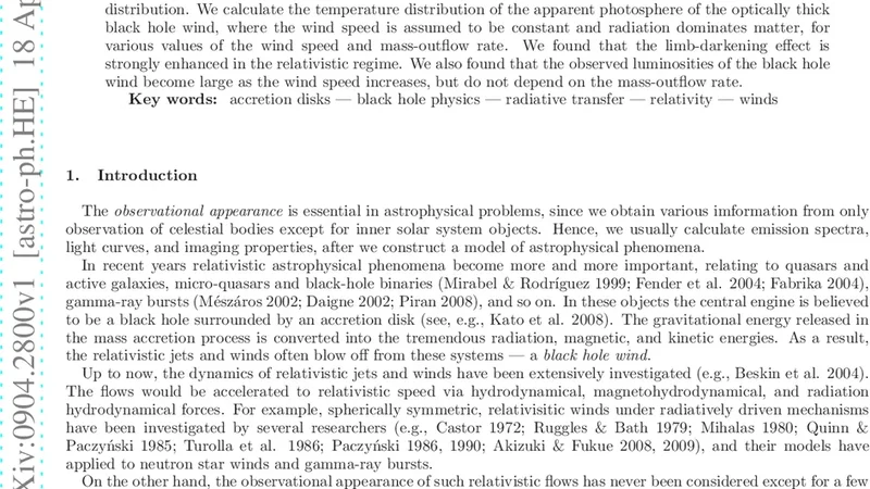 Observational Appearance of Black Hole Winds