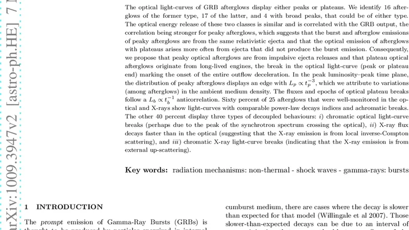 Optical afterglows of Gamma-Ray Bursts: peaks, plateaus, and   possibilities