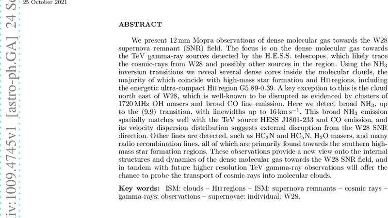 12mm line survey of the dense molecular gas towards the W28 field TeV   gamma-ray sources