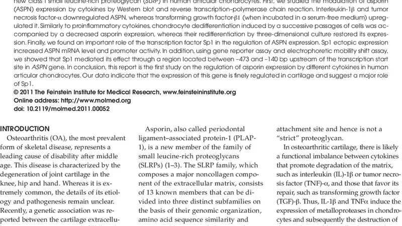Asporin expression is highly regulated in human chondrocytes