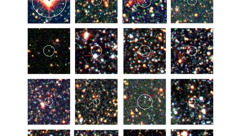 The Chandra Local Volume Survey: The X-ray Point Source Catalog of NGC   300