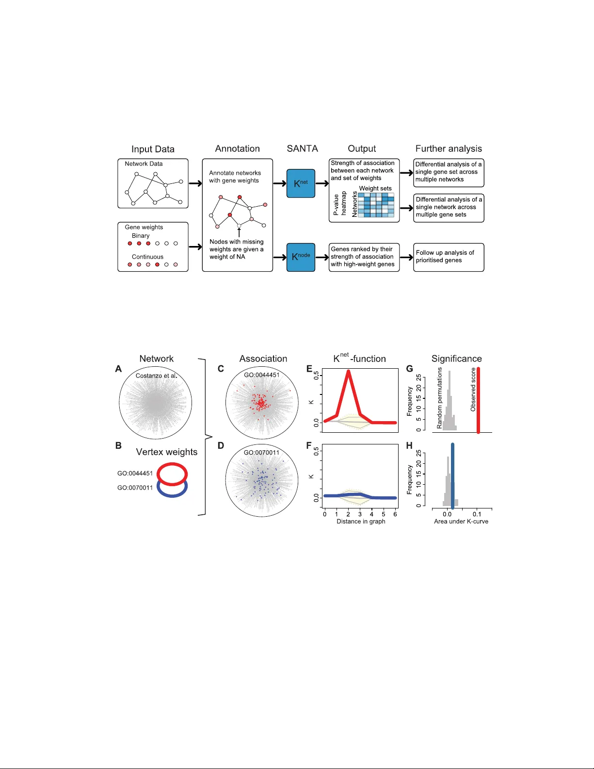 SANTA: quantifying the functional content of molecular networks