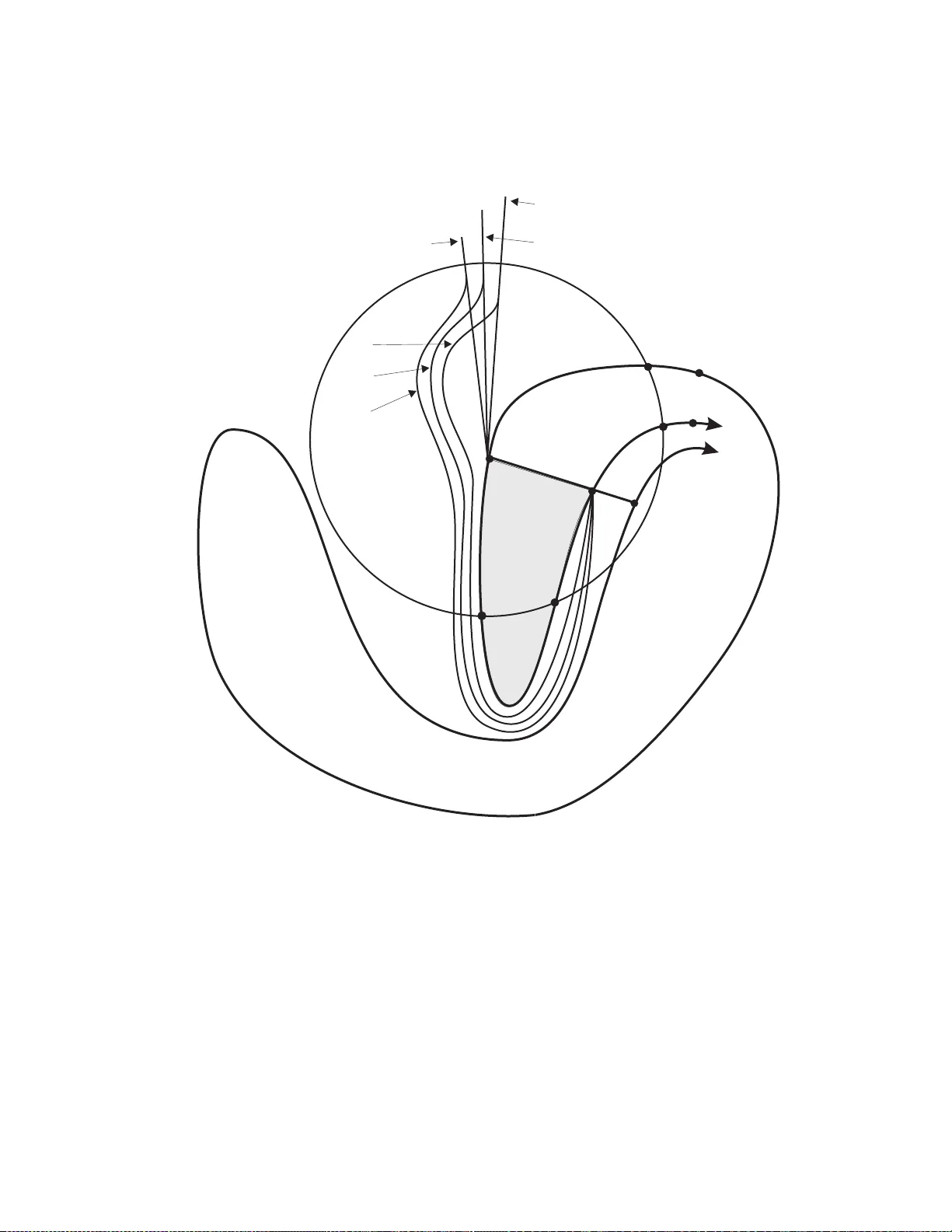 평면 연속체의 고정점 정리와 복소 역학 응용