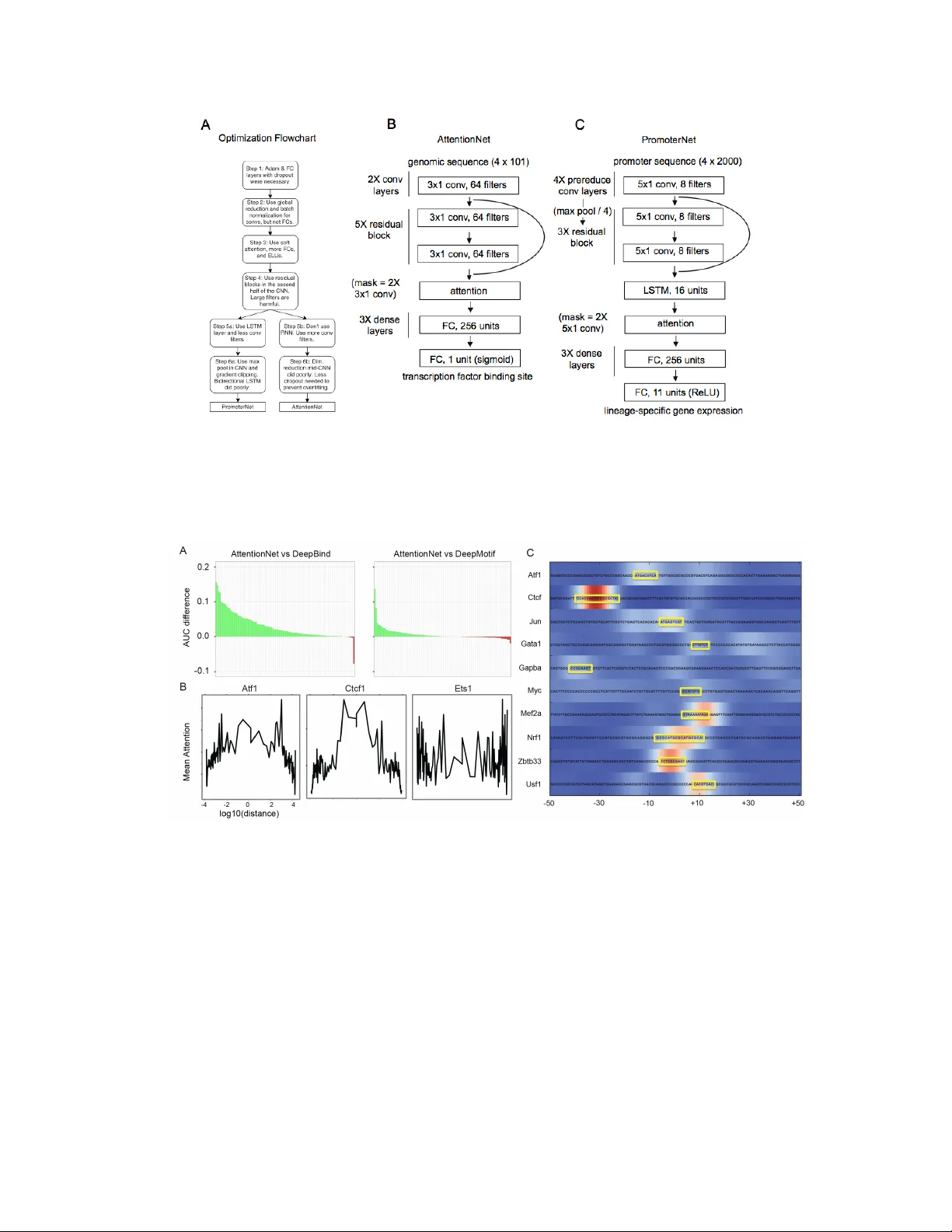 유전 구조 탐색을 위한 자동 신경망 설계