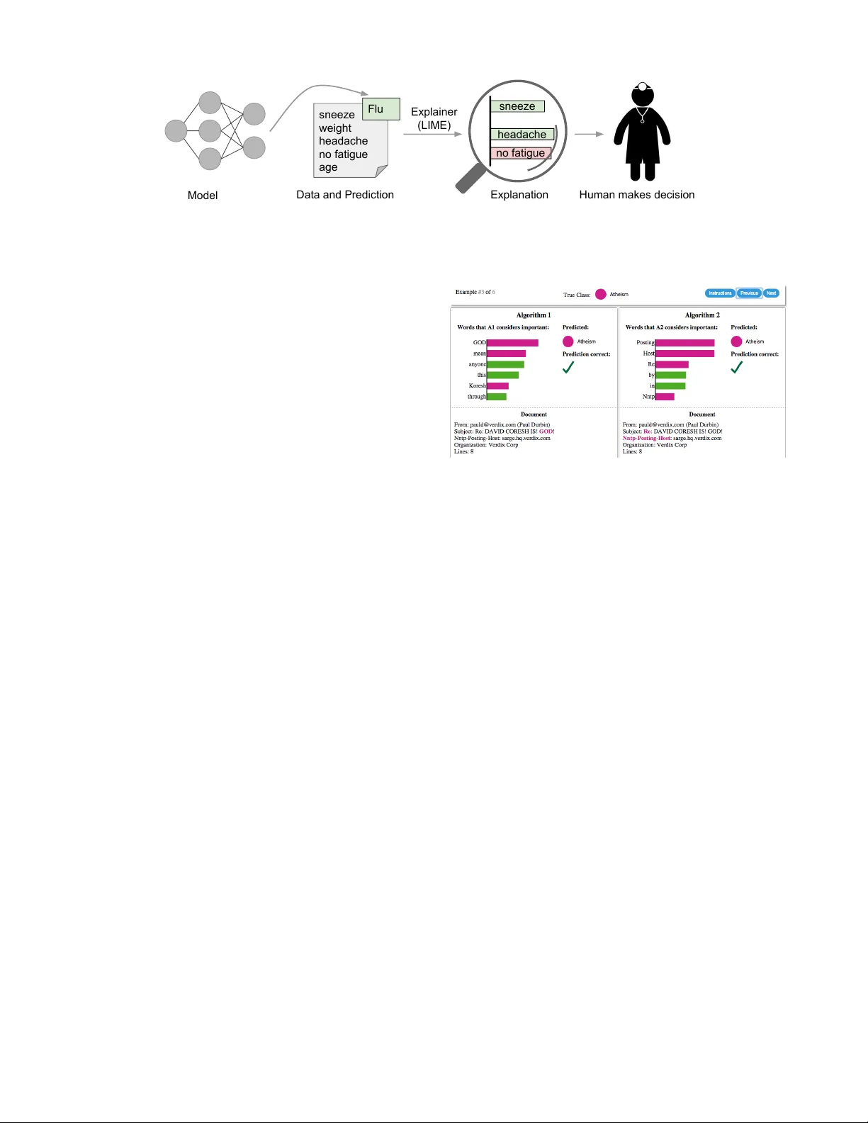 "Why Should I Trust You?": Explaining the Predictions of Any Classifier