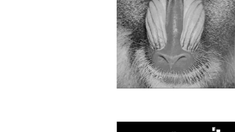 단일값 영역에서 구현한 블라인드 고강도 워터마킹 기법