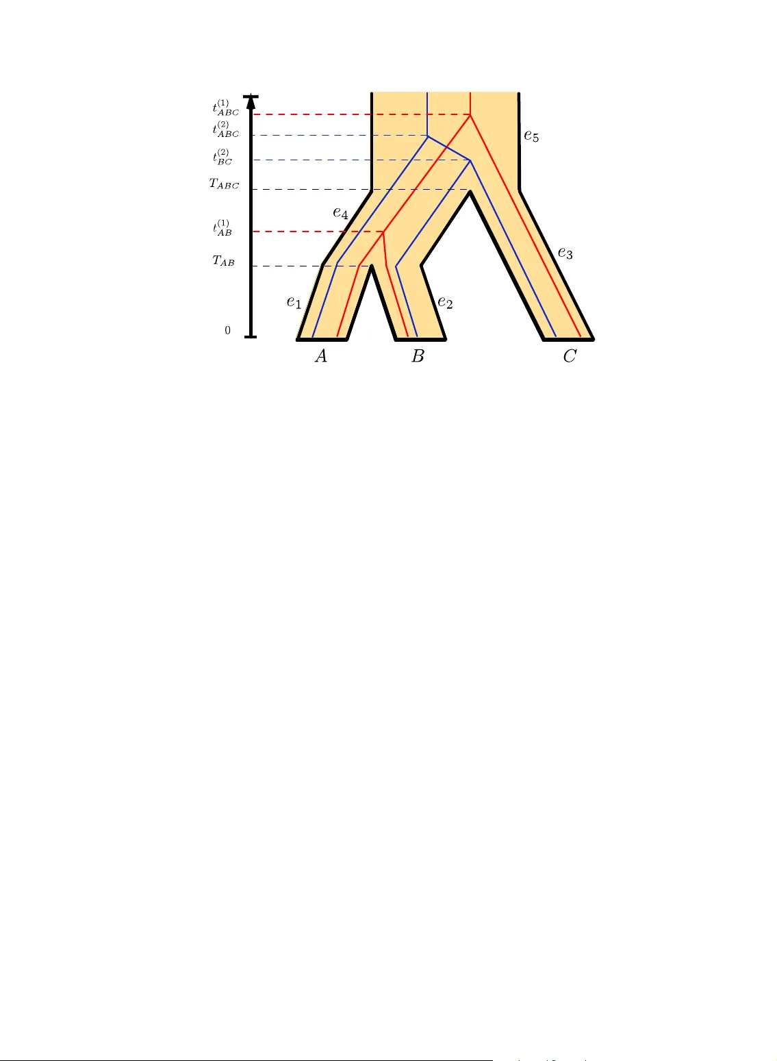 다중 유전자 데이터로 종계통 추정에 필요한 최소 샘플 복잡도와 새로운 거리 기반 알고리즘
