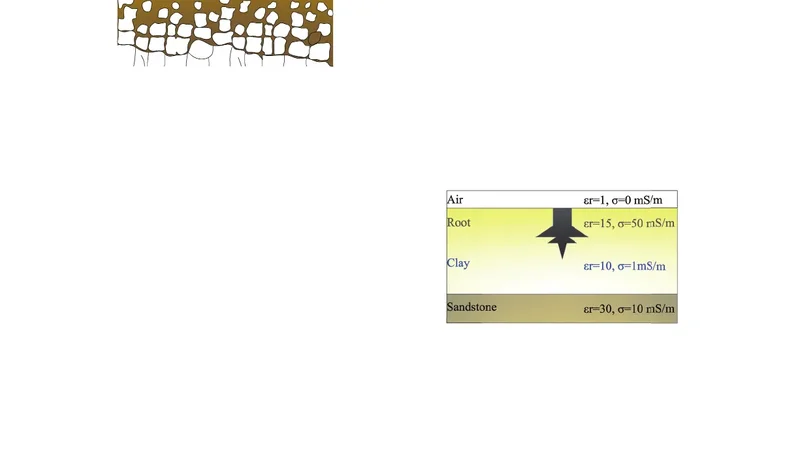Use of Ground Penetrating Radar to Map the Tree Roots