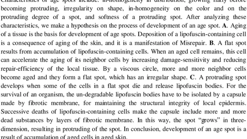 Development of age spots as a result of accumulation of aged cells in   aged skin
