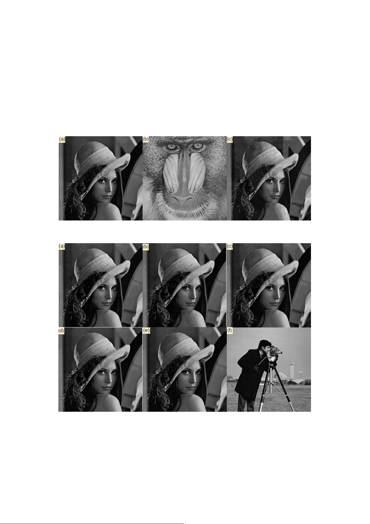 Robust LSB Watermarking Optimized for Local Structural Similarity