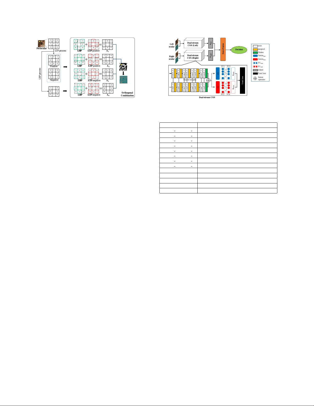 야생 환경에서의 안와 주변 인식: RGB와 색채 기반 텍스처를 결합한 듀얼 스트림 CNN