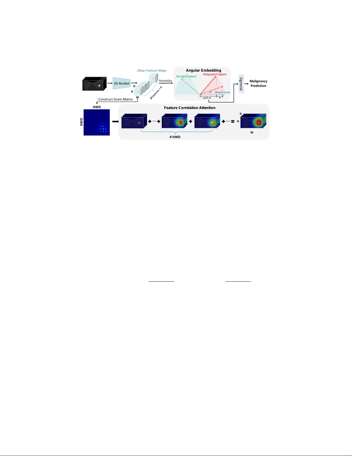 코사인 마진 시그모이드 손실과 상관주의 맵을 활용한 고성능 유방 MRI 암 진단