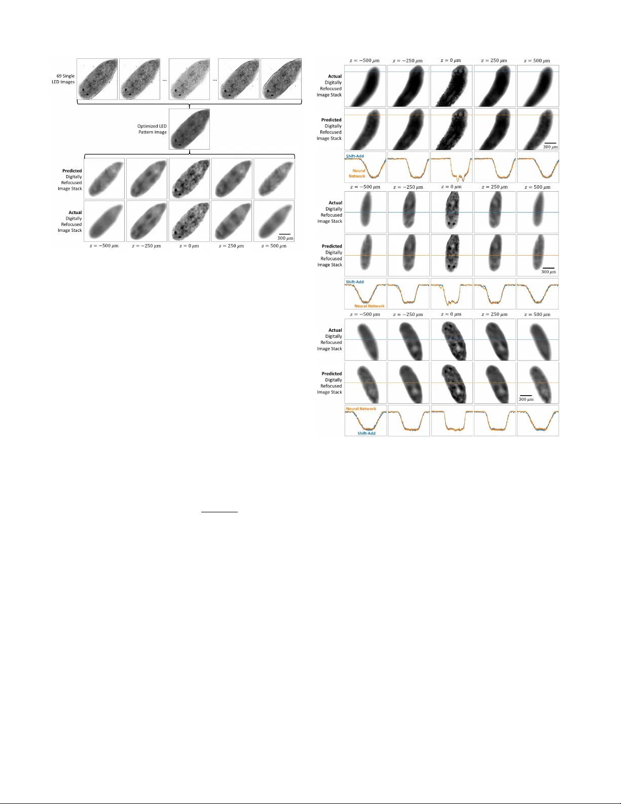 딥러닝 기반 광학 다중 초점 현미경