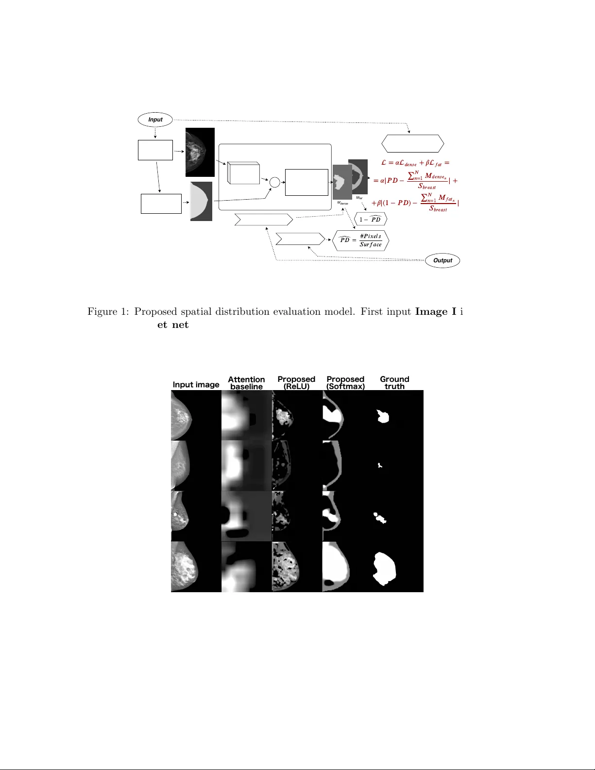 A closer look onto breast density with weakly supervised dense-tissue   masks