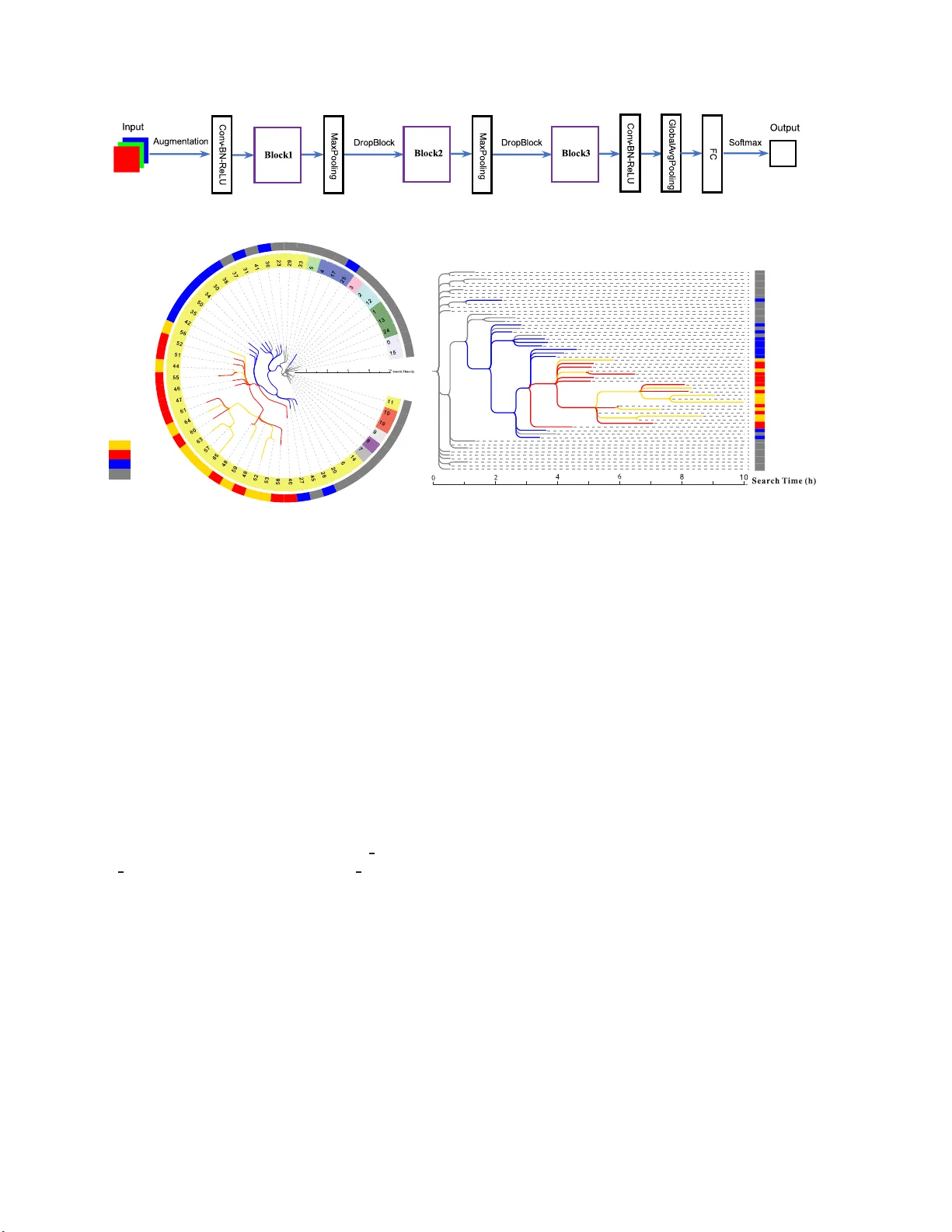 효율적인 신경망 구조 진화 EENA