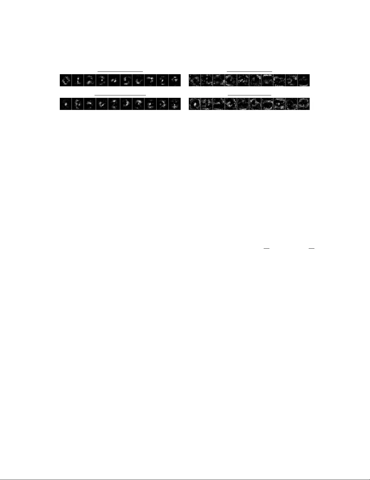 신경망 해석과 학습을 위한 샤플리 기반 활성화와 그래디언트 설계