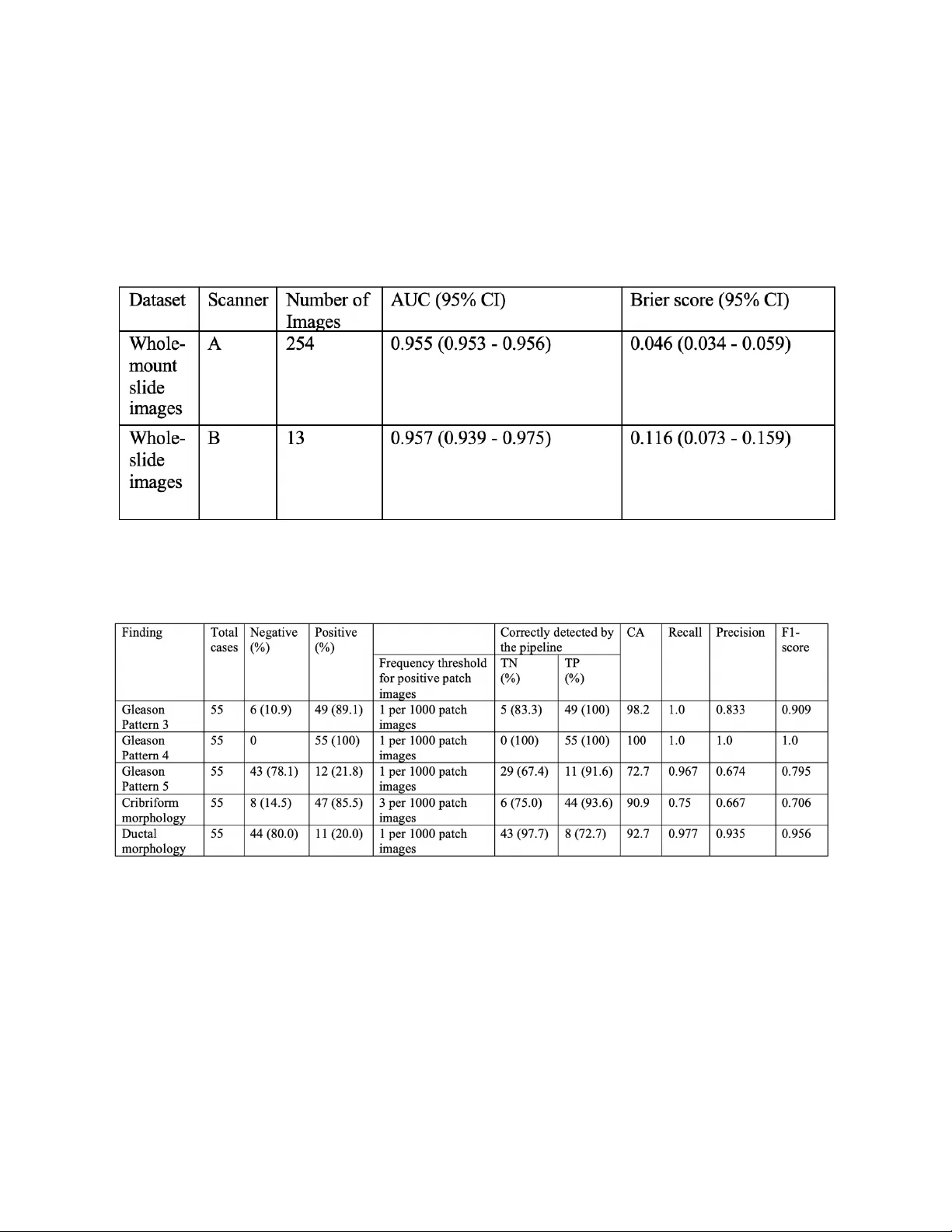 전립선 병리 자동화: 딥러닝 기반 전립선암·그레이드·형태학 전반 검출 및 임상 보고 연동