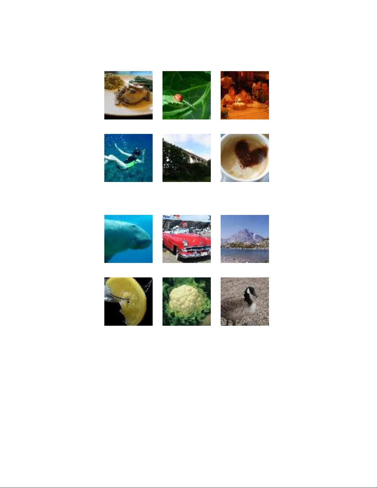 라벨 없는 데이터로 멘토‑학생 모델을 압축하는 DeepMimic