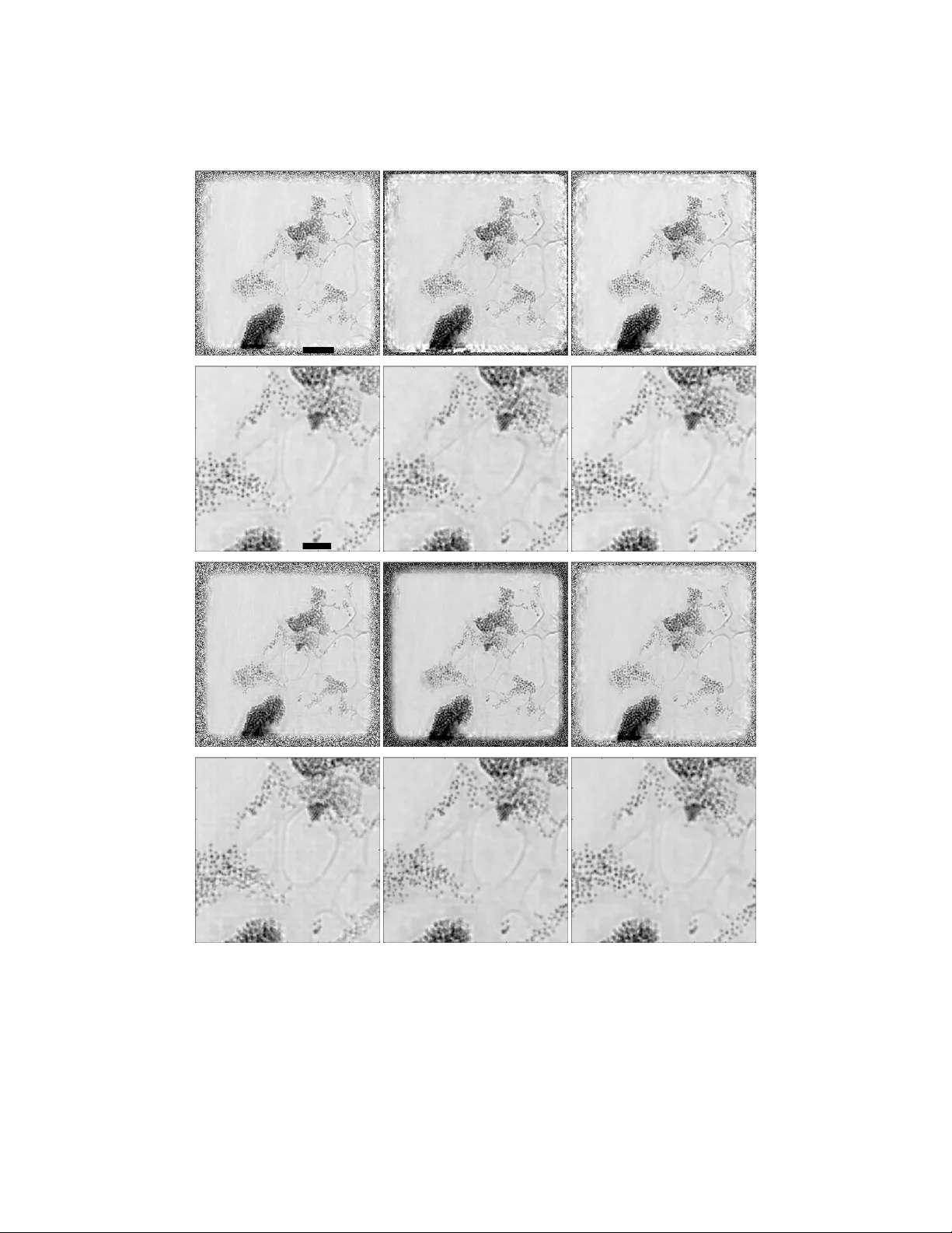 시 임플리시트 완화형 더글라스 라차드 알고리즘을 이용한 고속 파이토그래피 복원