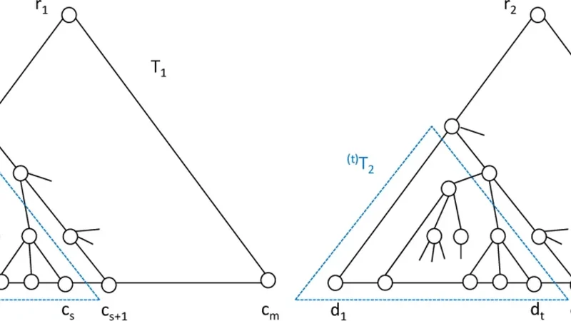 Intersection and Union Hierarchies of Deterministic Context-Free Languages and Pumping Lemmas