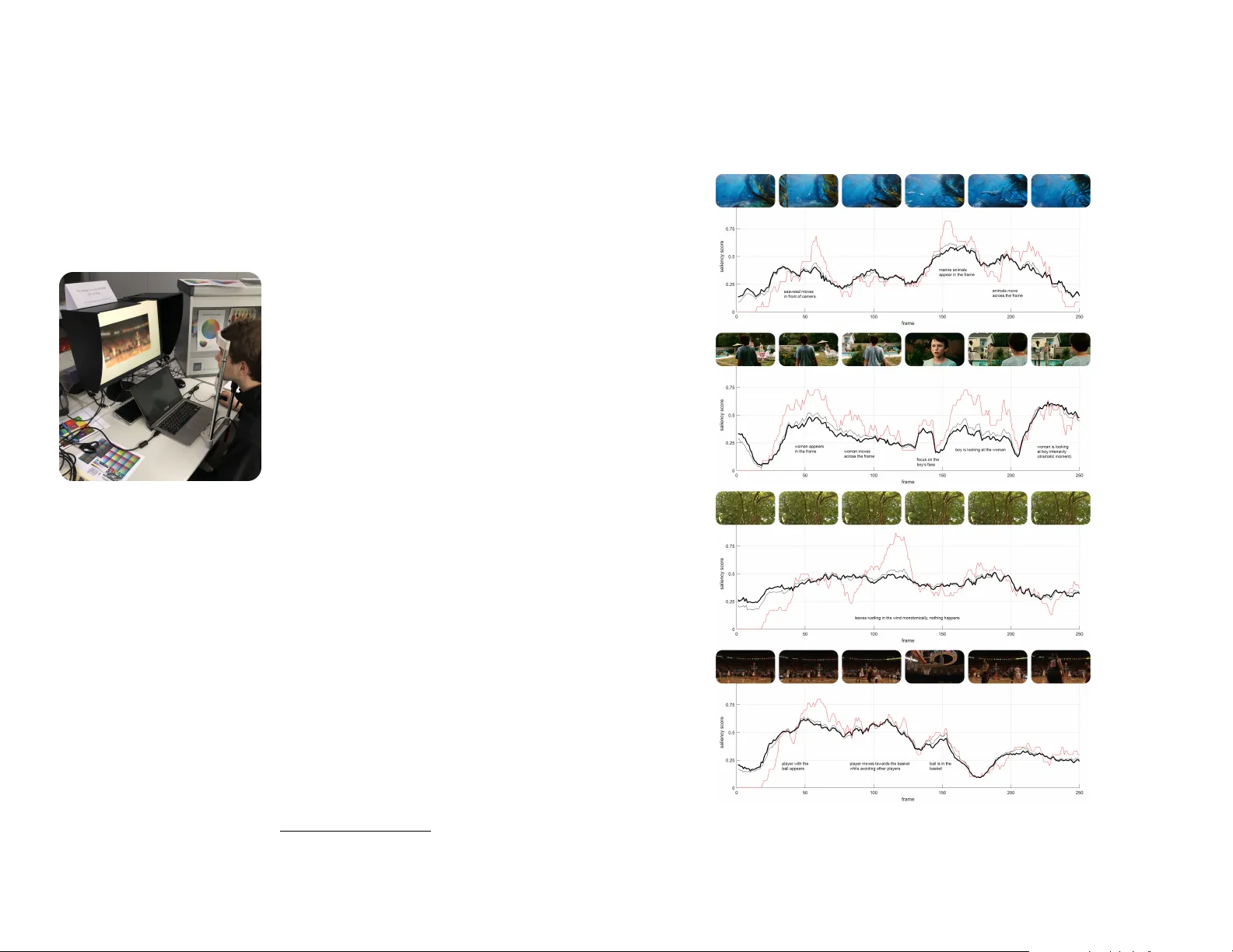 Are all the frames equally important?
