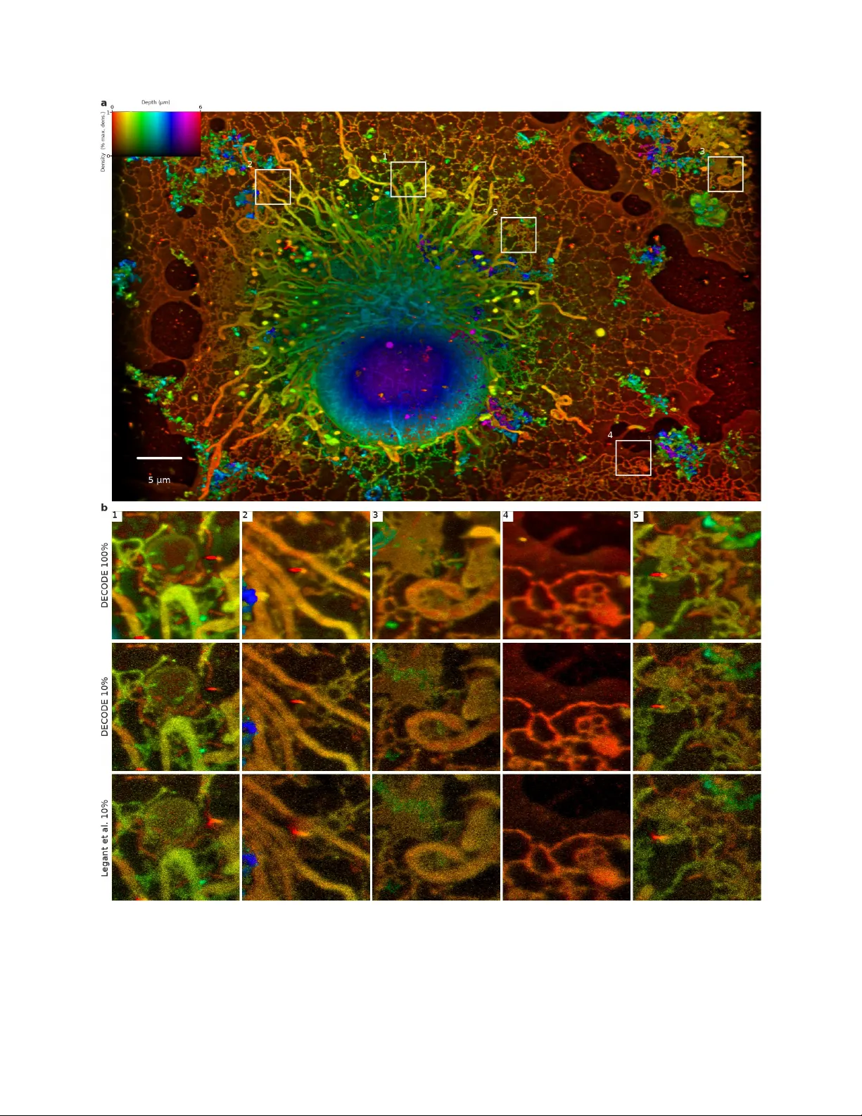 깊은 신경망으로 단일 분자 위치 추정 혁신