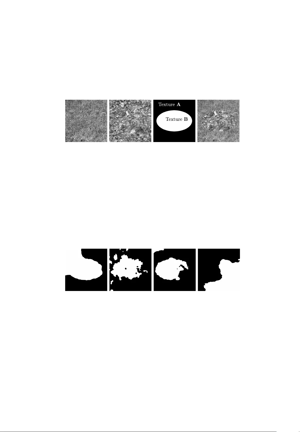강인한 볼록 최적화로 프랙탈 특징 결합 텍스처 분할