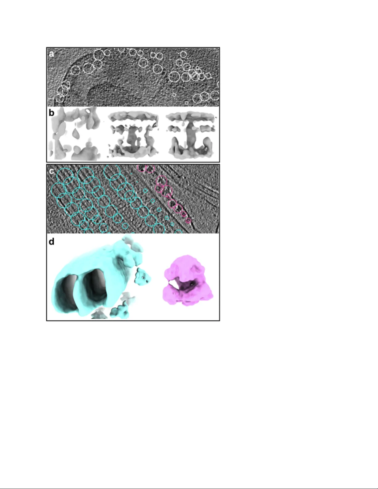 크라이오ET 데이터 처리 전 과정을 자동화한 통합 워크플로우