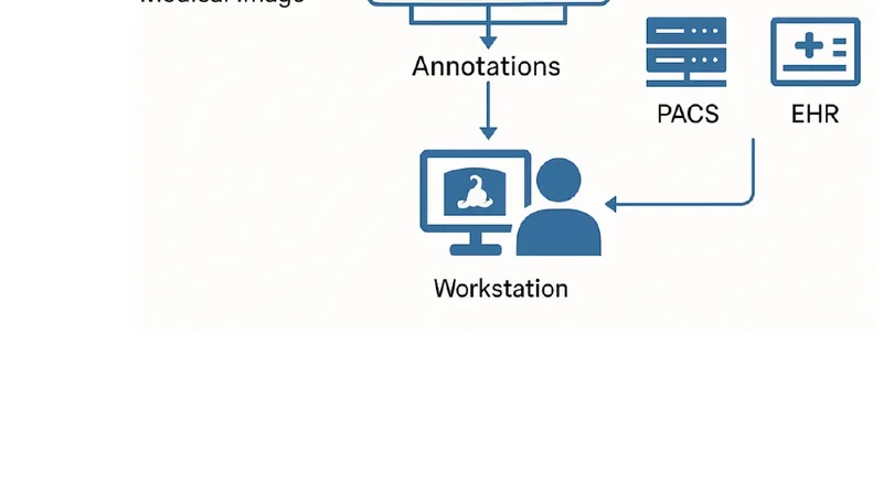 A Deep Learning Framework for Real-Time Image Processing in Medical Diagnostics: Enhancing Accuracy and Speed in Clinical Applications